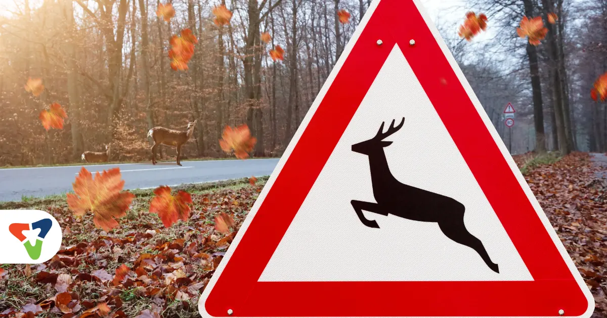 Camioneros: ¡más vigilancia en las carreteras este otoño!